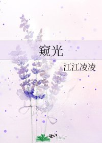 窺光